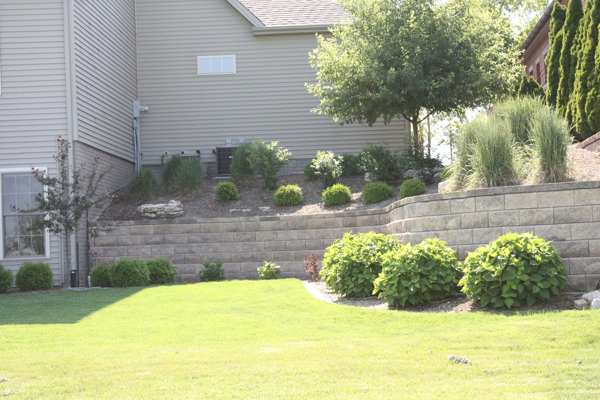 Block retaining wall with boxwoods and ornamental grasses along a backyard lawn
