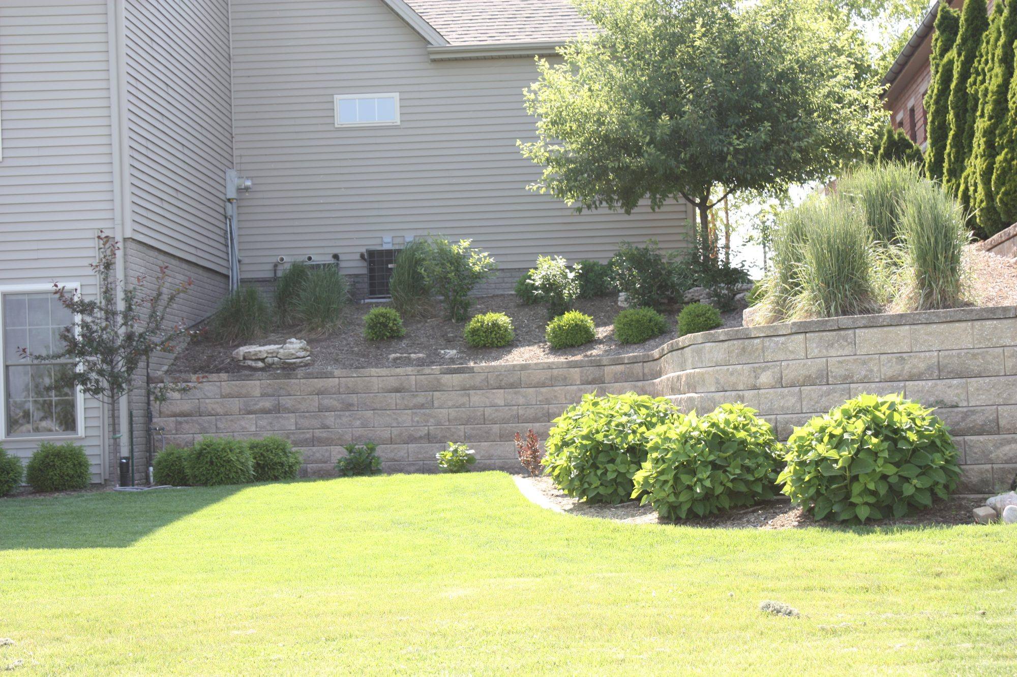Block retaining wall with boxwoods and ornamental grasses along a backyard lawn