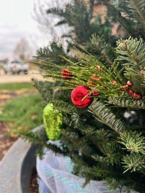 Holiday evergreen planter with red ornaments outside a commercial property