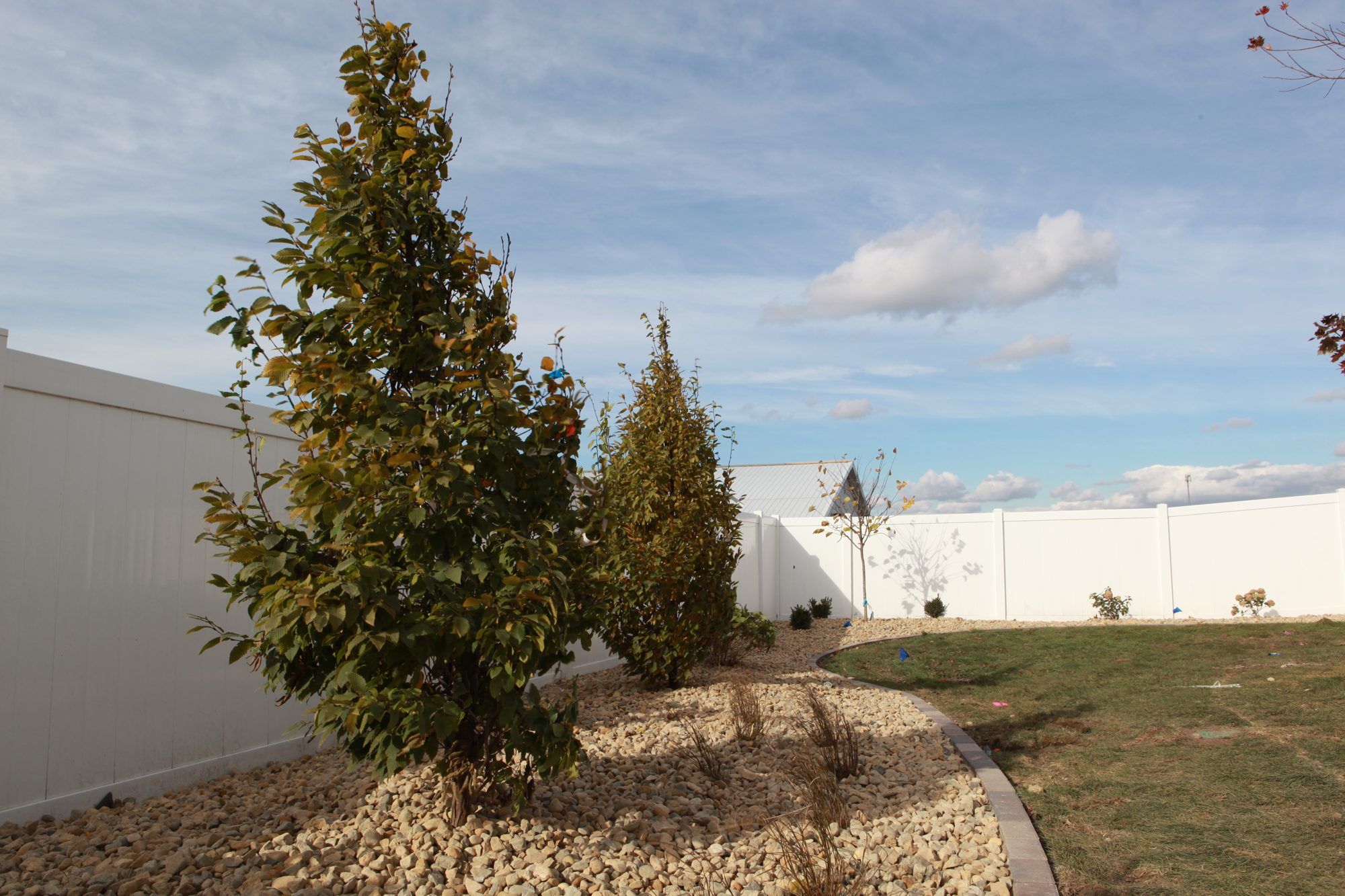 Newly planted evergreens in a river-rock bed with steel edging