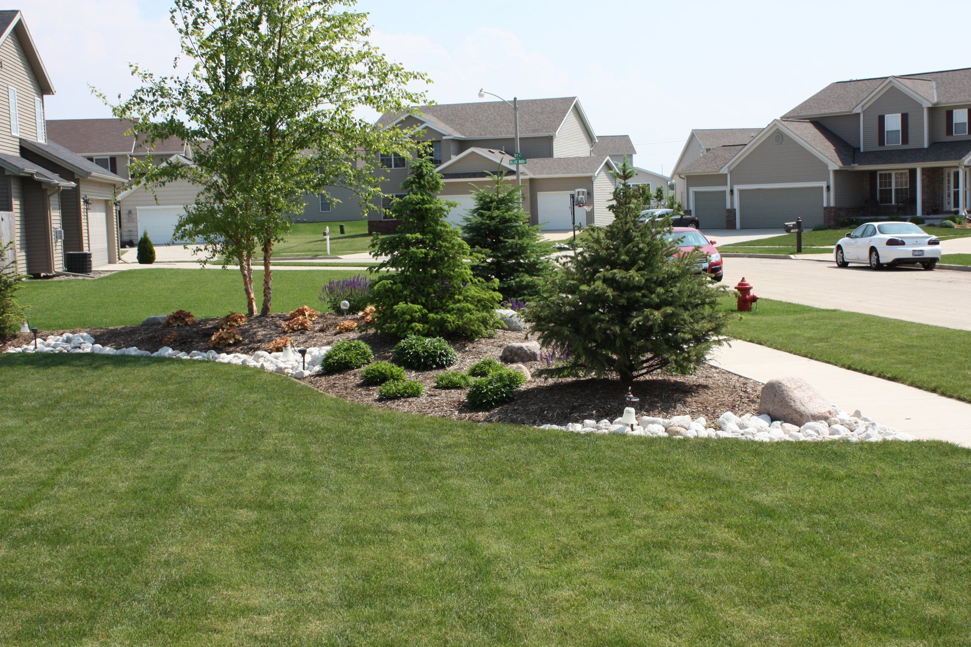 Front-yard landscape island with evergreens, birch trees, boulders and mulch in a Central Illinois subdivision