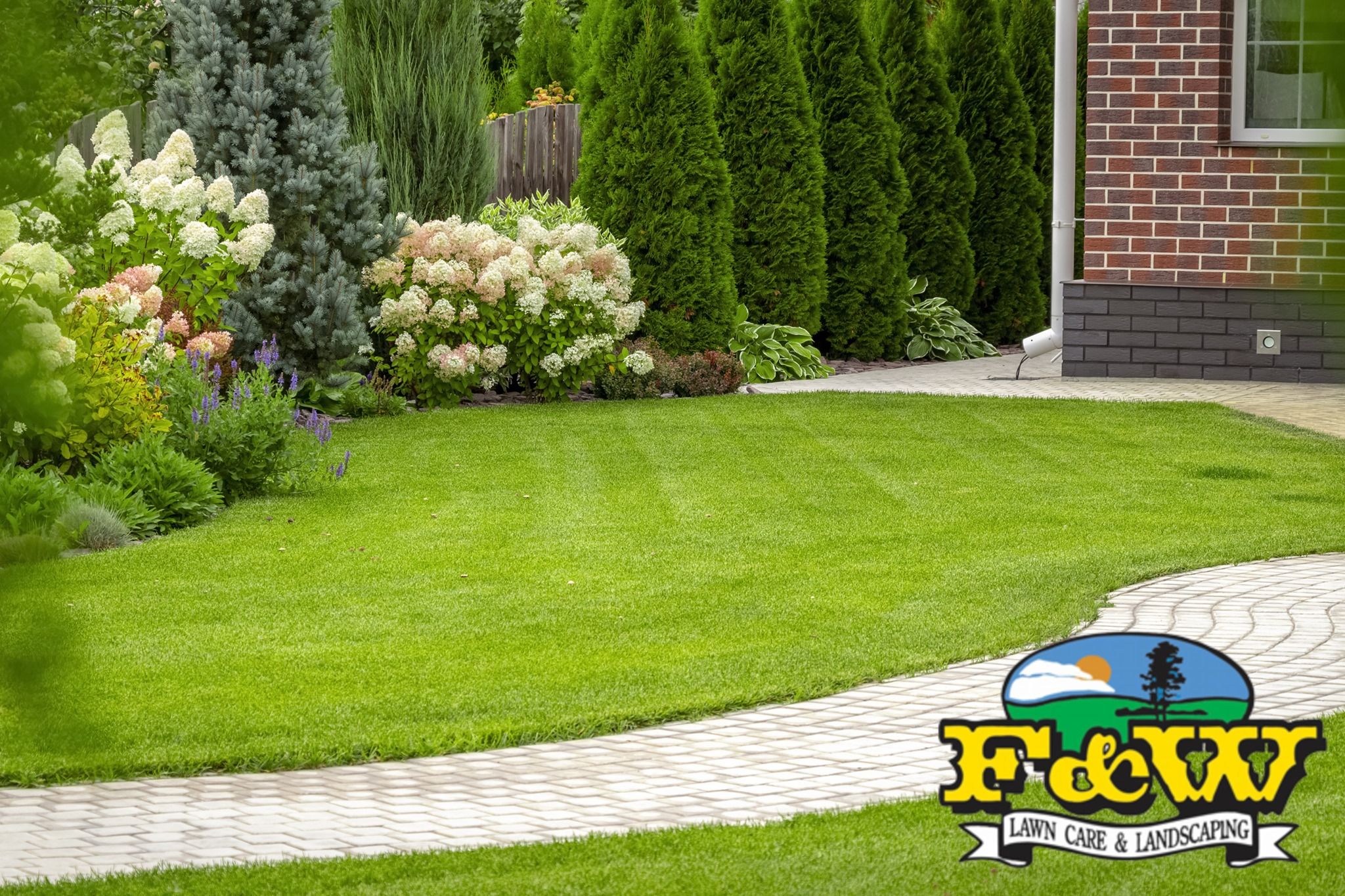 Striped, weed-free lawn beside a curved paver walkway, hydrangeas and arborvitae