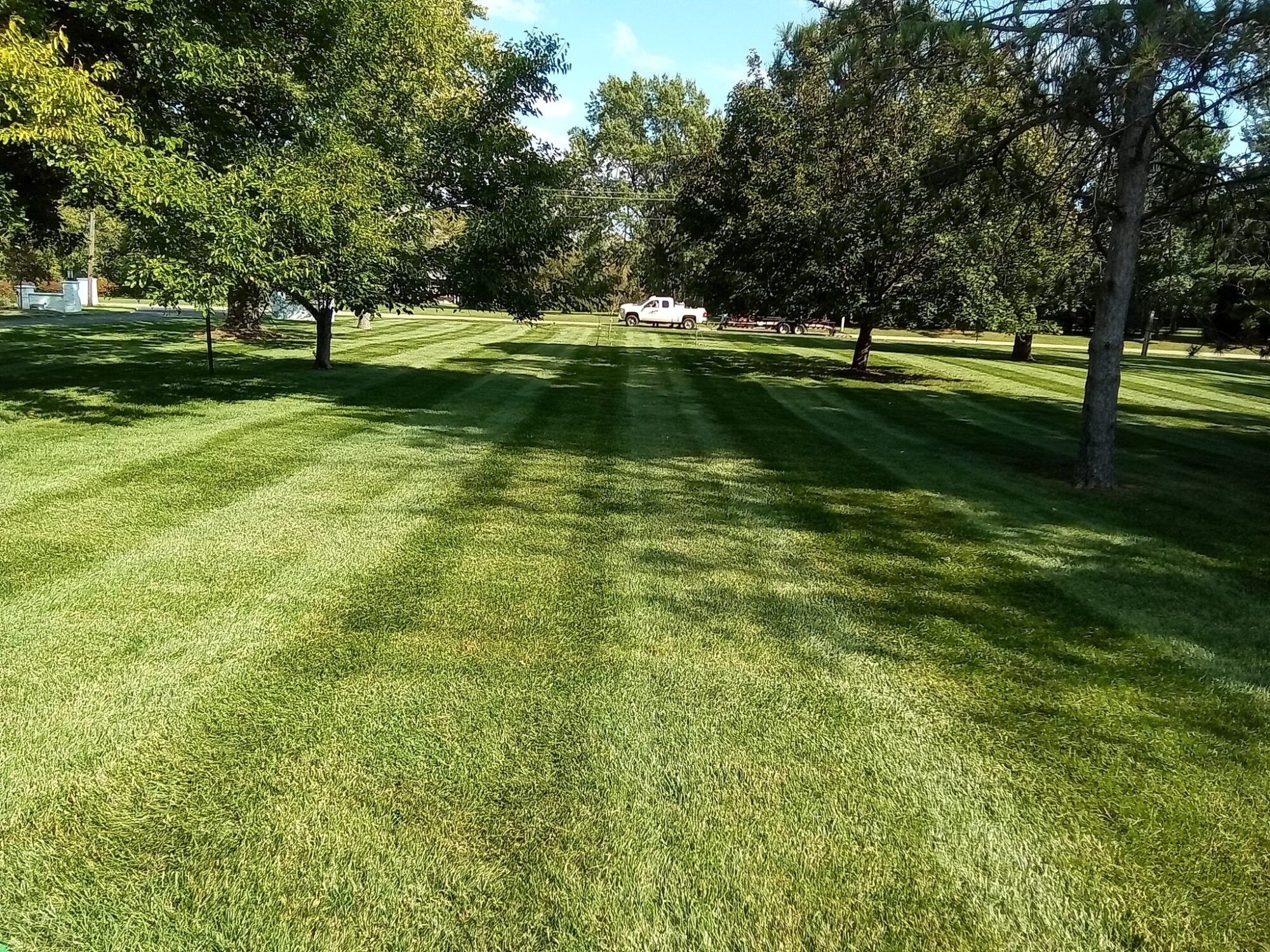 Large striped lawn with mature trees after a fresh mow